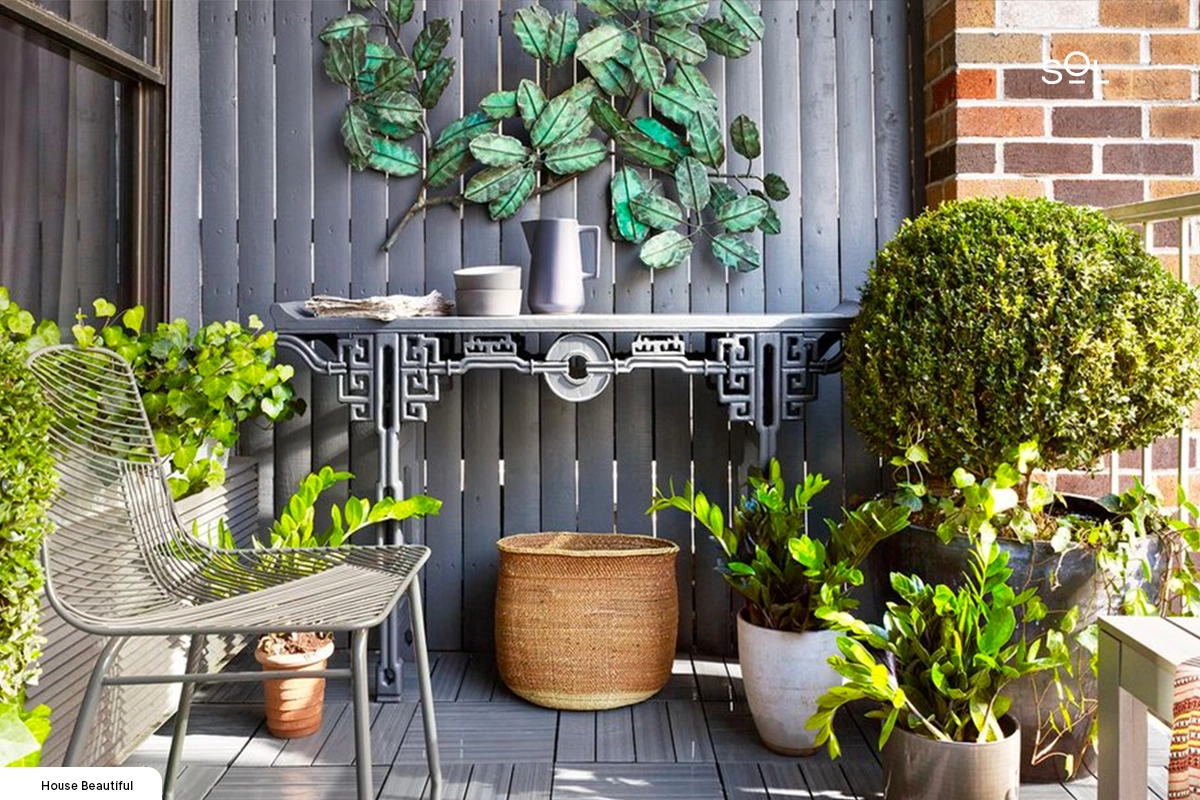 Privacy potted plants