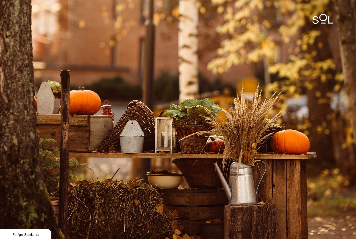 Fall Outdoor Party Decoration Ideas