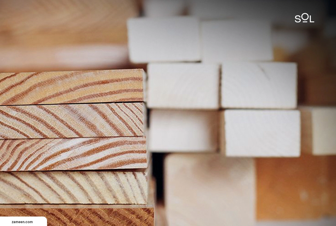 5 Distinct Species of Wood Mold