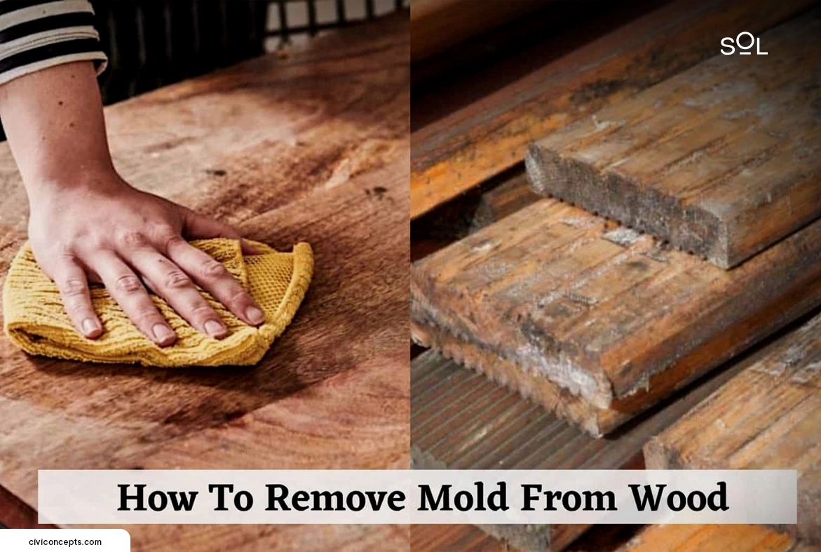 How to Prevent Wood Mold?