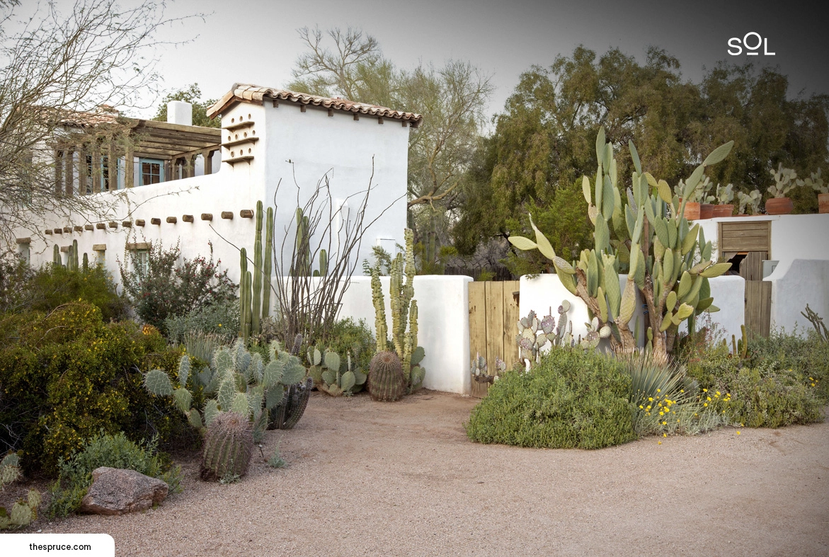 Minimalistic Desert Garden