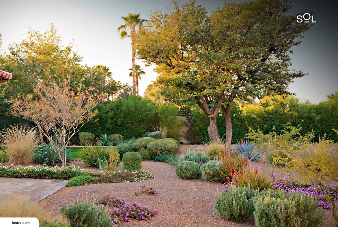 Mediterranean-Inspired Desert Garden