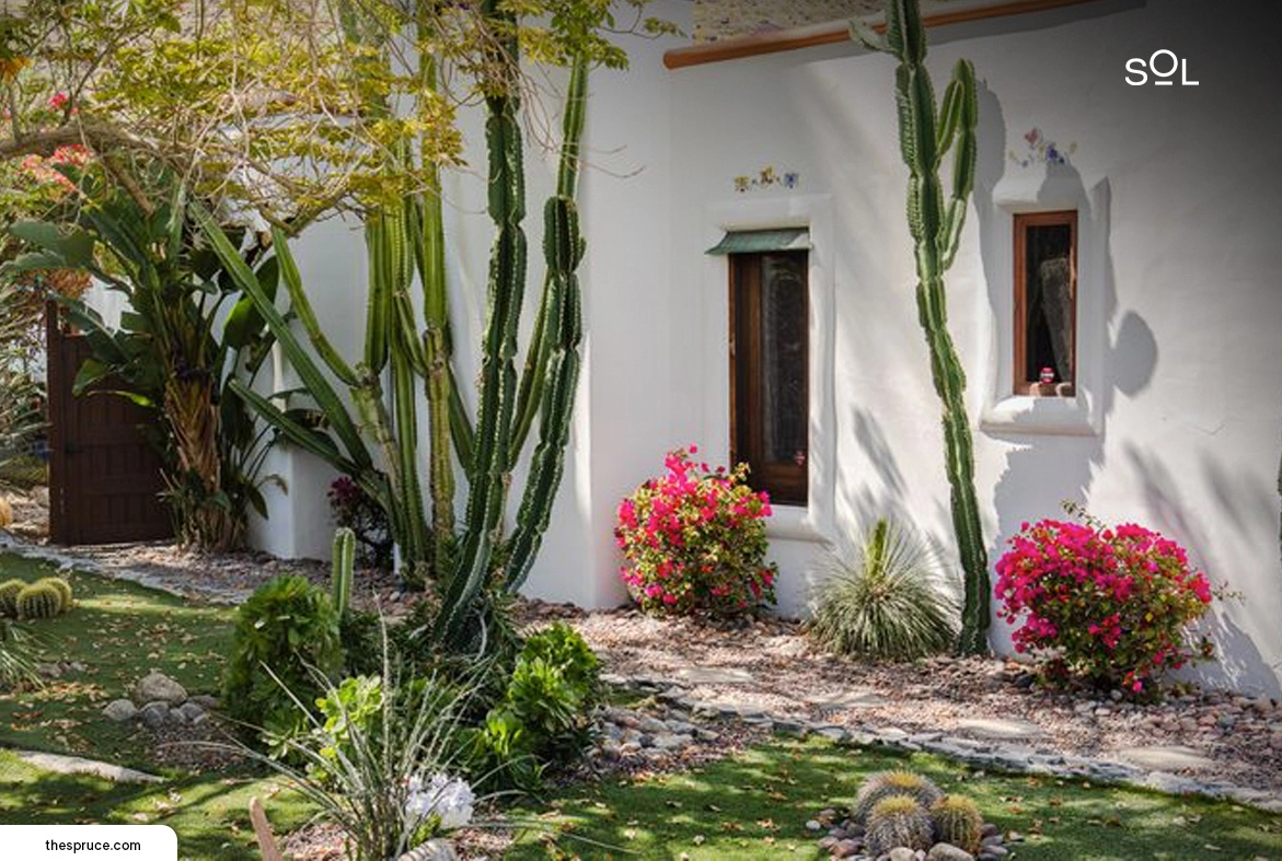 The Beauty of Desert Gardens: Ideas for a Low-Maintenance Oasis