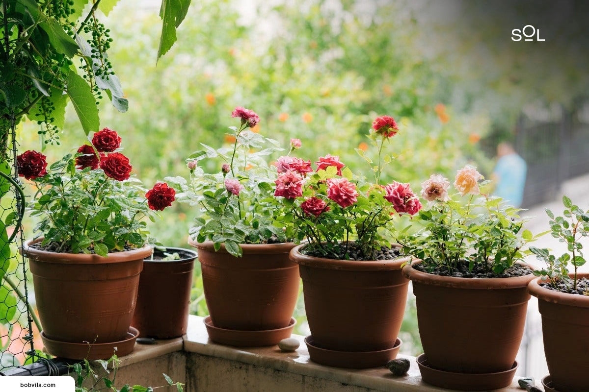 Challenges of Having a Flower Balcony