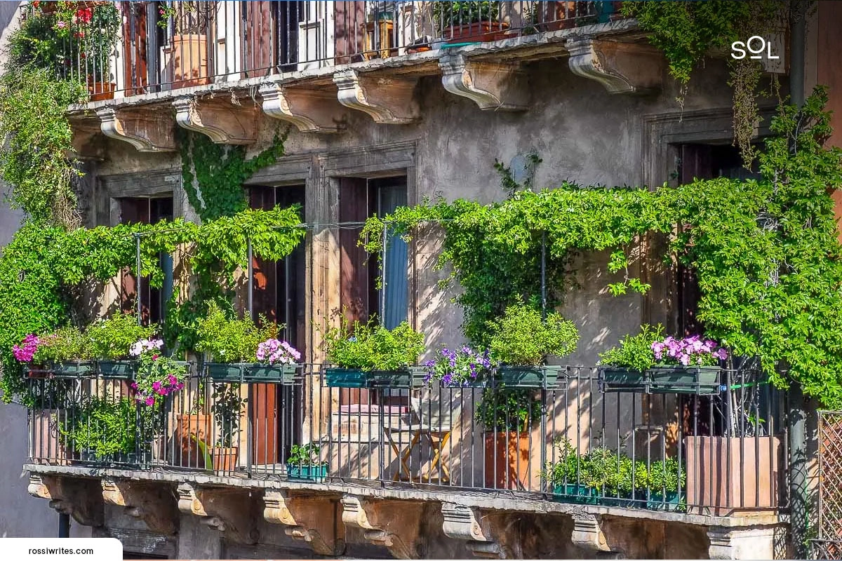 Choosing the Right Flowers for Your Balcony