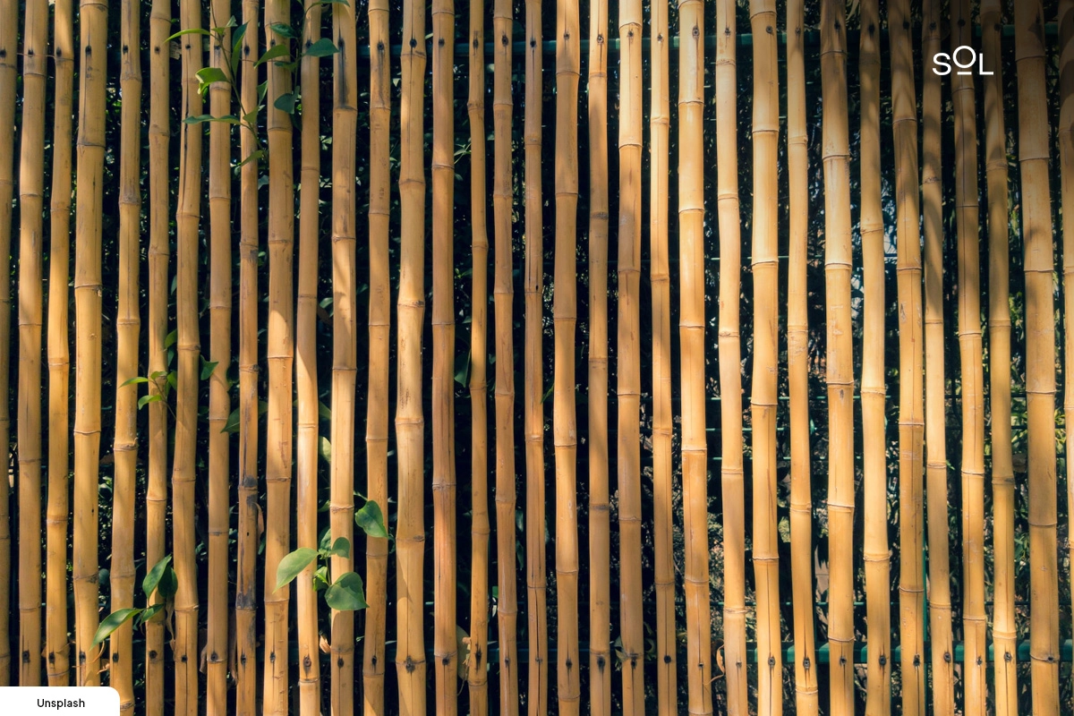 Bamboo Screen - apartment patio ideas for privacy