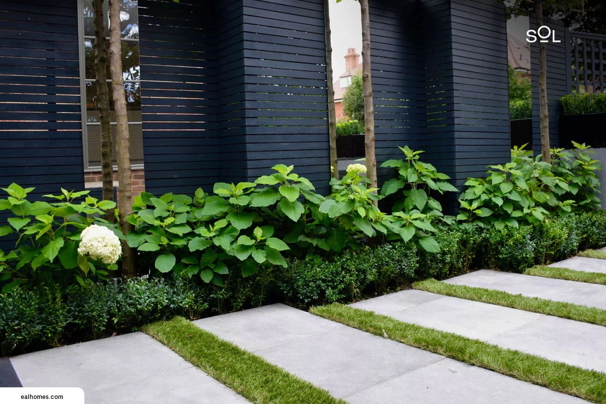 A Green Walkway